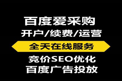 知名SEM公司案例分析：优化策略与成果